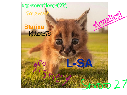 Sign here if you're against Caracal hunting! remix remix remix remix remix remix remix remix