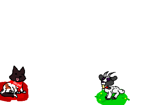 Nyx's Pet Room