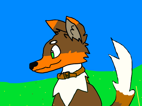 50 followers competition entry