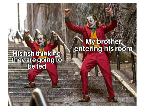 Daily Meme #47