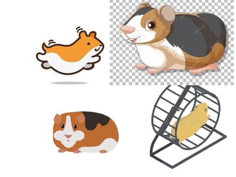 Vector insiration
