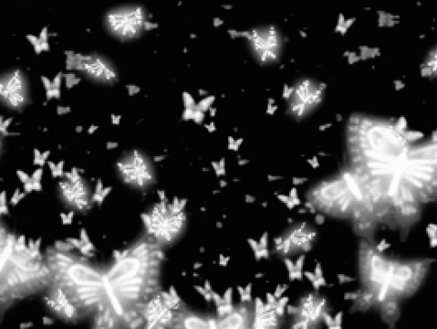 Butterflies 