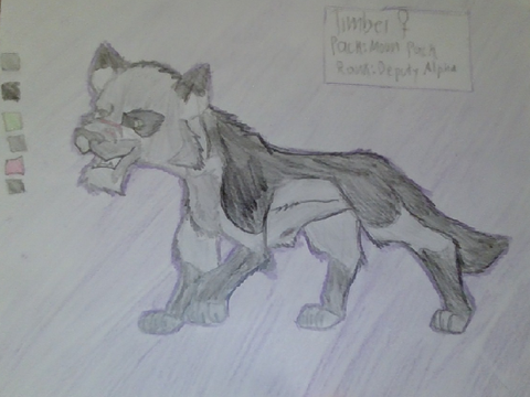 Timber Reference