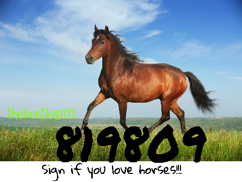 Sign If You Love Horses!! remix