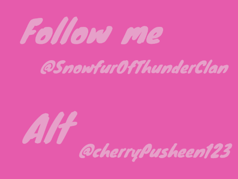 Snowfur's OUTRO