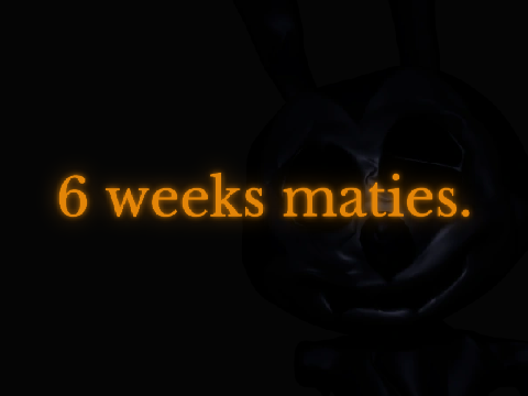 Minor Recoding will begin in 1 day.