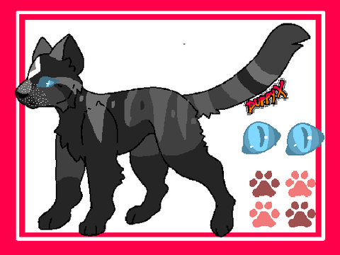 ✠ Coyote`Howl ✠ SkyClan Medicine Cat ✠