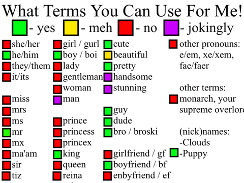 What Terms You Can Use For Me (my version)