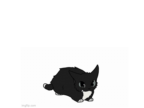 MAXWELL DA CAT