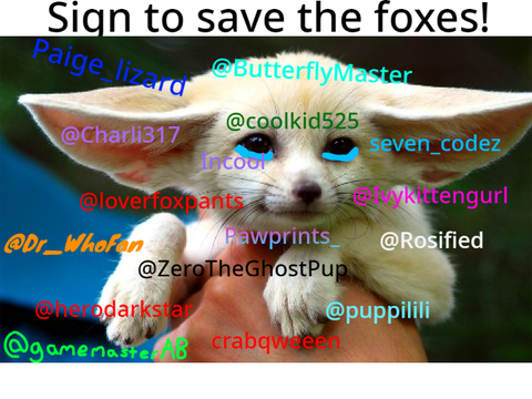 STOP HUNTING FOXES remix remix remix remix remix 7's remix... remix remix remix remix remix r… remix