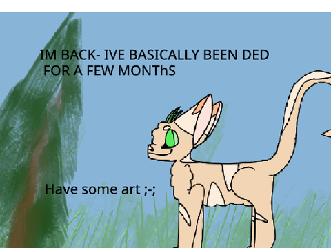 I'M BACK