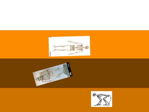 Dig site