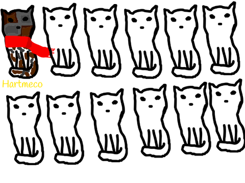 Add a cat!