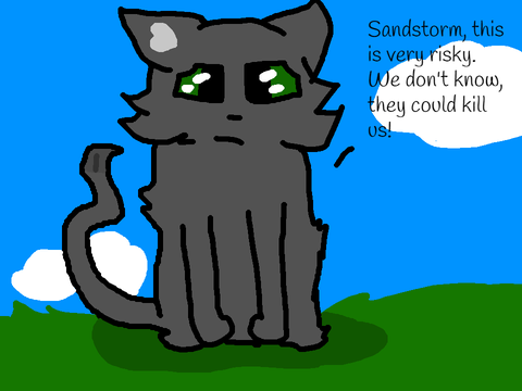 Stormpaw's Story || Chapter Ch. 16 