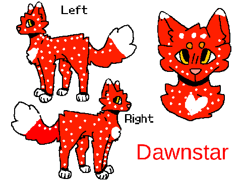 Dawnstar of Flameclan