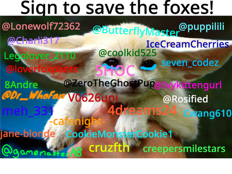STOP HUNTING FOXES remix remix remix remix remix 7's remix... remix remix remix