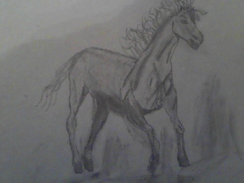 Hand drawn horse (pencil)