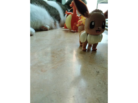 My Eevee