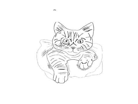 Whiskey (my cat) rules since she has many talents