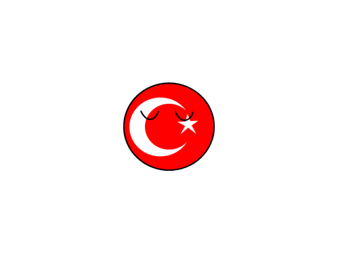 Turkey parts