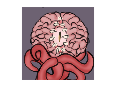 Pfp for… how ever you spell that username
