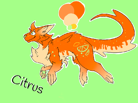 50+ DTA entry// citrus