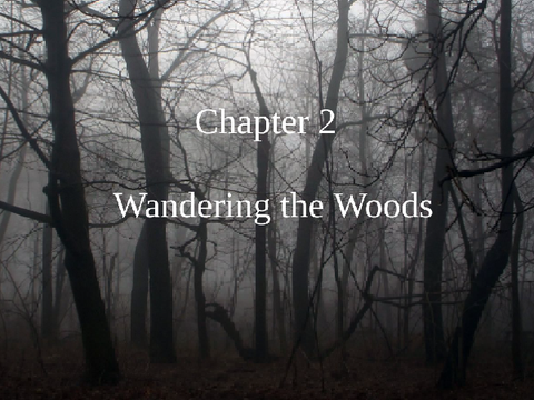 Forest Story - Chapter 2