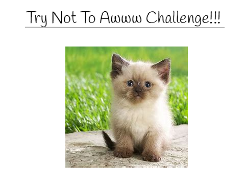 Try Not To Awww Challenge!!! remix remix remix