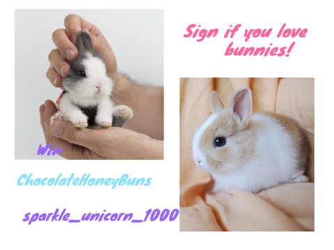Sign if you love bunnies! remix