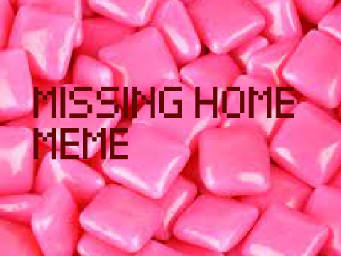 unfinished vent- missing home 
