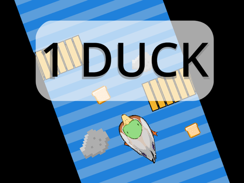 1 Duck