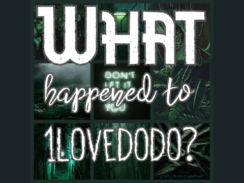 Active or Non-Active? What happened to @1lovedodo?