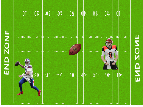 Josh Allen vs Joe Burrow (2 player game)