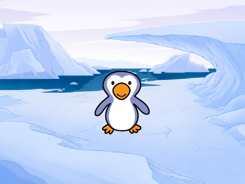 meet bob the penguin