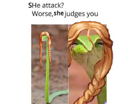 The Silver Eye Memes