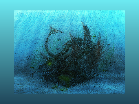 Sea Dragon