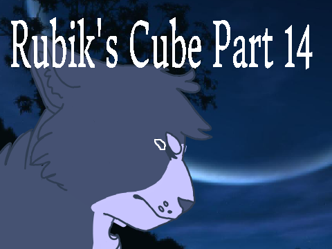 rubik's cube p. 14