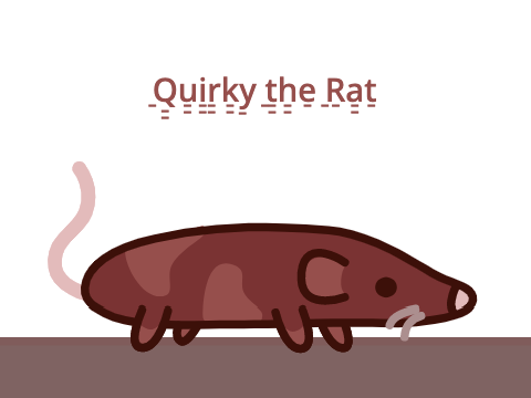 Quirky the Rat