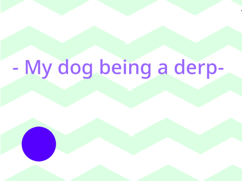 My dog being a derp