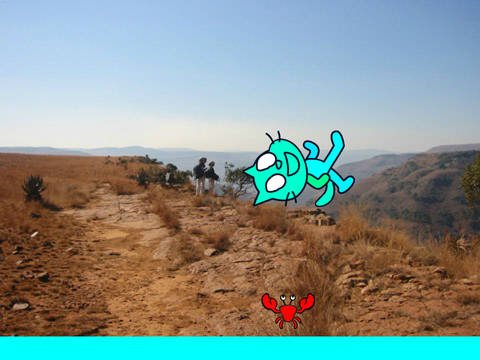 Evil Crab Game!