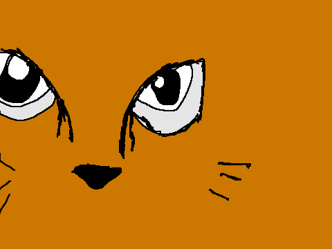 EYE OF THE TIGER