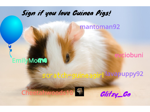 Sign if you love guinea pigs! Remix, Remix, Remix