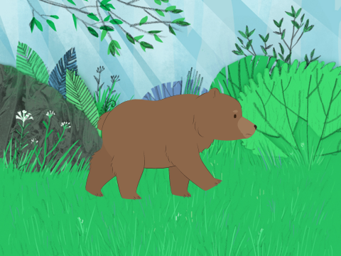 Bear has an important message
