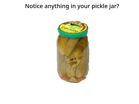Pickle Jar Frog Vibe