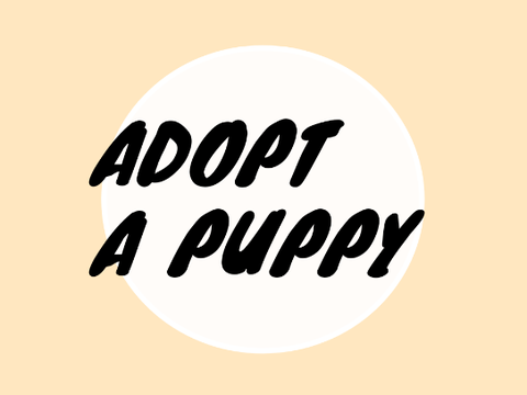 ADOPT A PUPPY!! <3