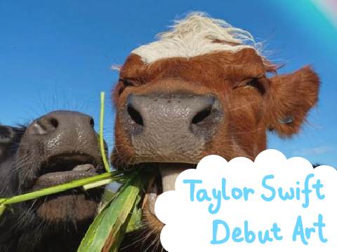 ⛧ Taylor Swift Debut Art