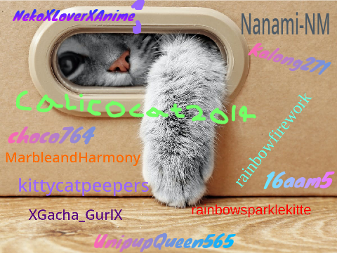 Remix if u like cats plz remix remix it remix