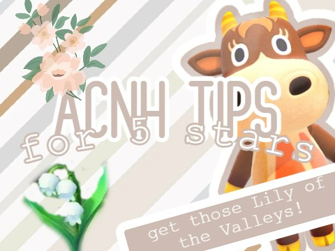 ACNH Tips for 5 Stars!