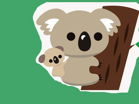 Koala Zoo