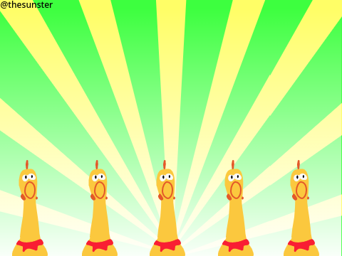 squeaky chicken  